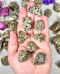 Dalmatian Jasper Tumble | Stone for Dog Lovers | Spotted Jasper Crystal