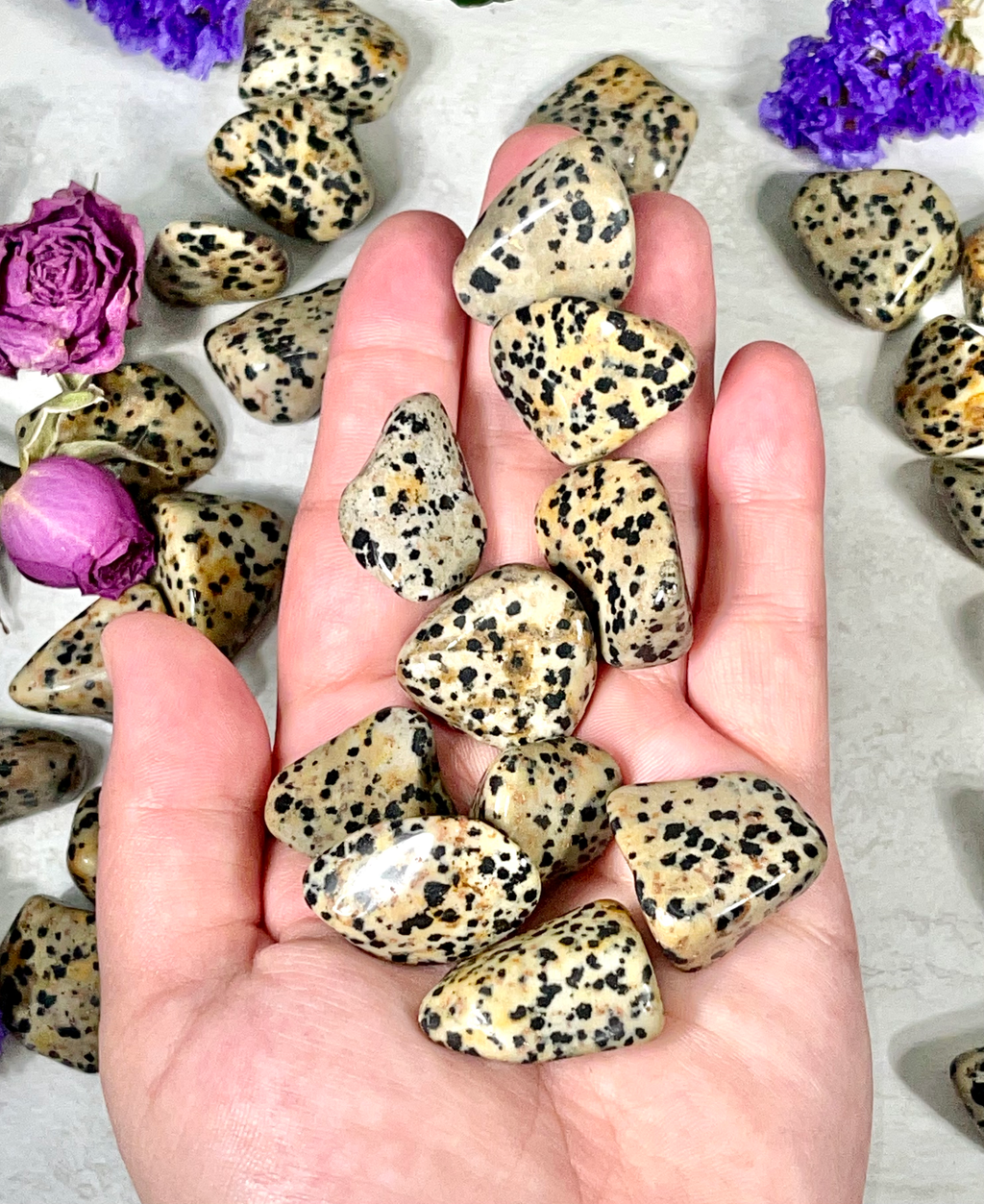 Dalmatian Jasper Tumble | Stone for Dog Lovers | Spotted Jasper Crystal