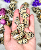 Dalmatian Jasper Tumble | Stone for Dog Lovers | Spotted Jasper Crystal