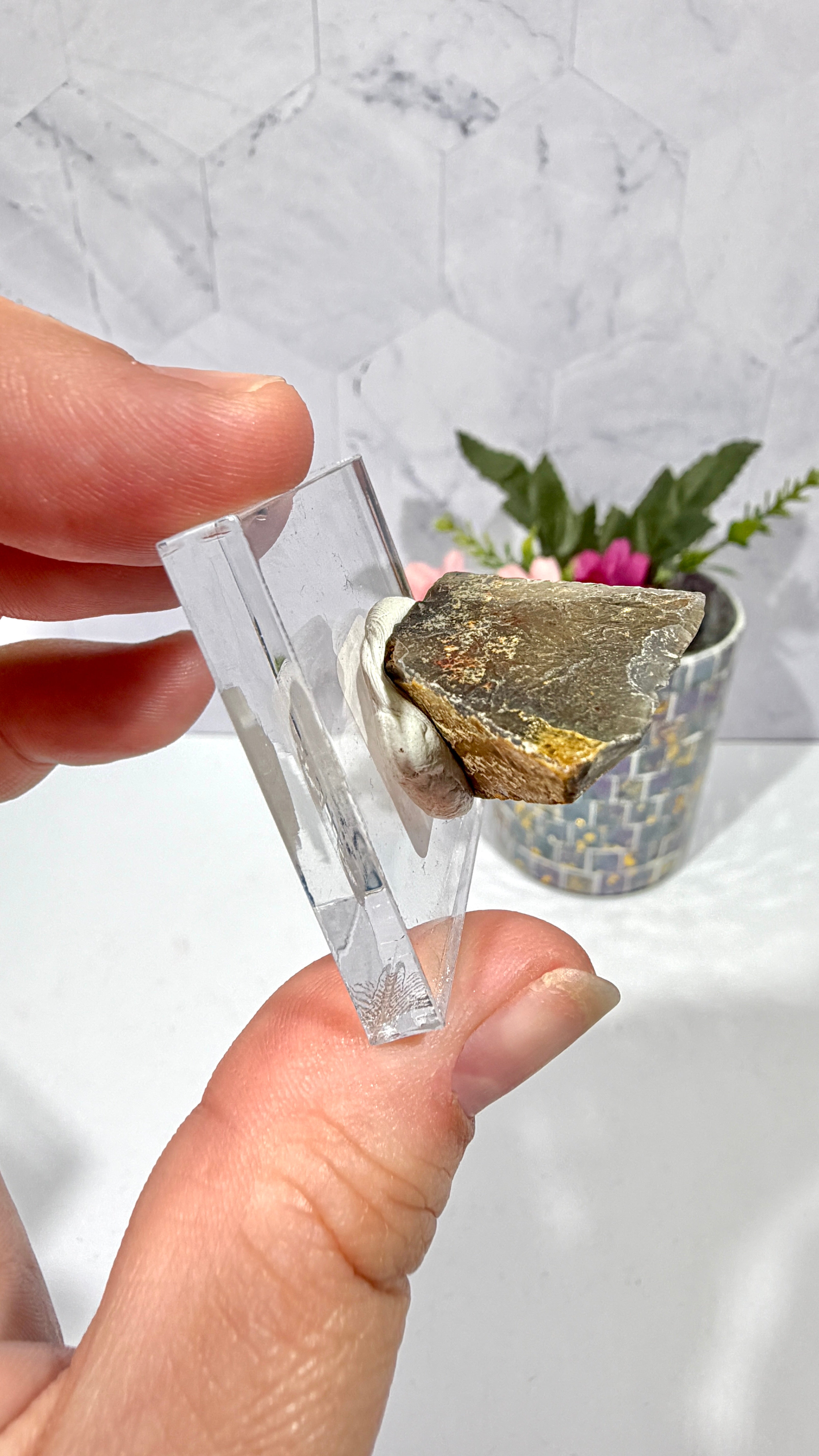 Polygonal Agate