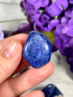 Sodalite Tumbles | Throat Chakra