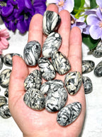 Pinolith Tumble