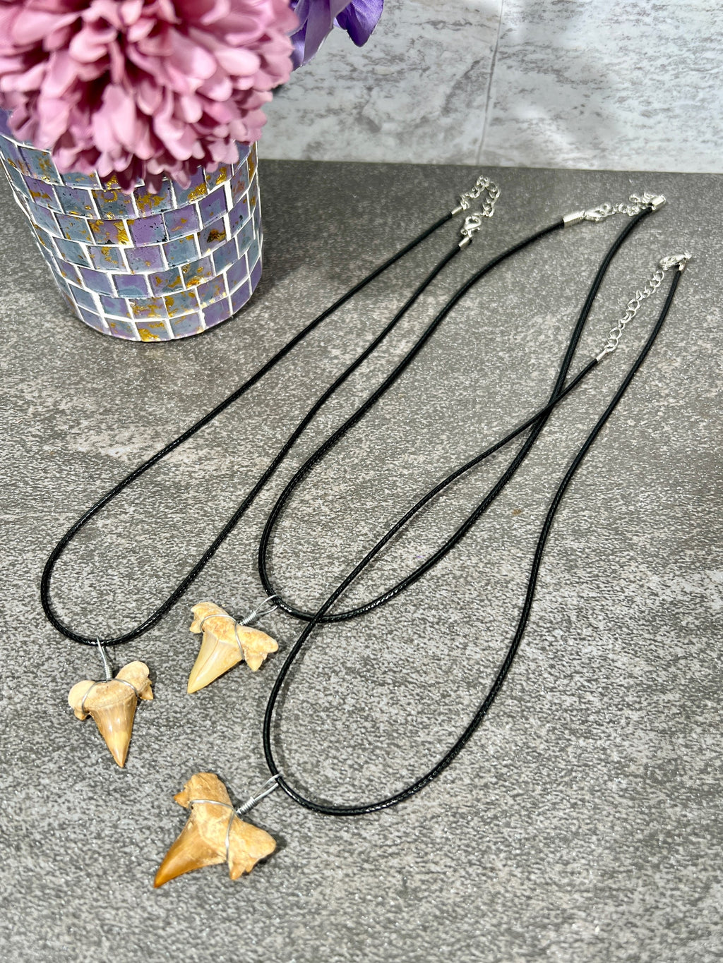 Sharks Tooth Fossil Necklace