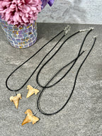 Sharks Tooth Fossil Necklace