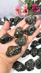 Guinea Fowl Jasper Tumble