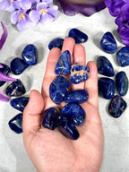Sodalite Tumbles | Throat Chakra