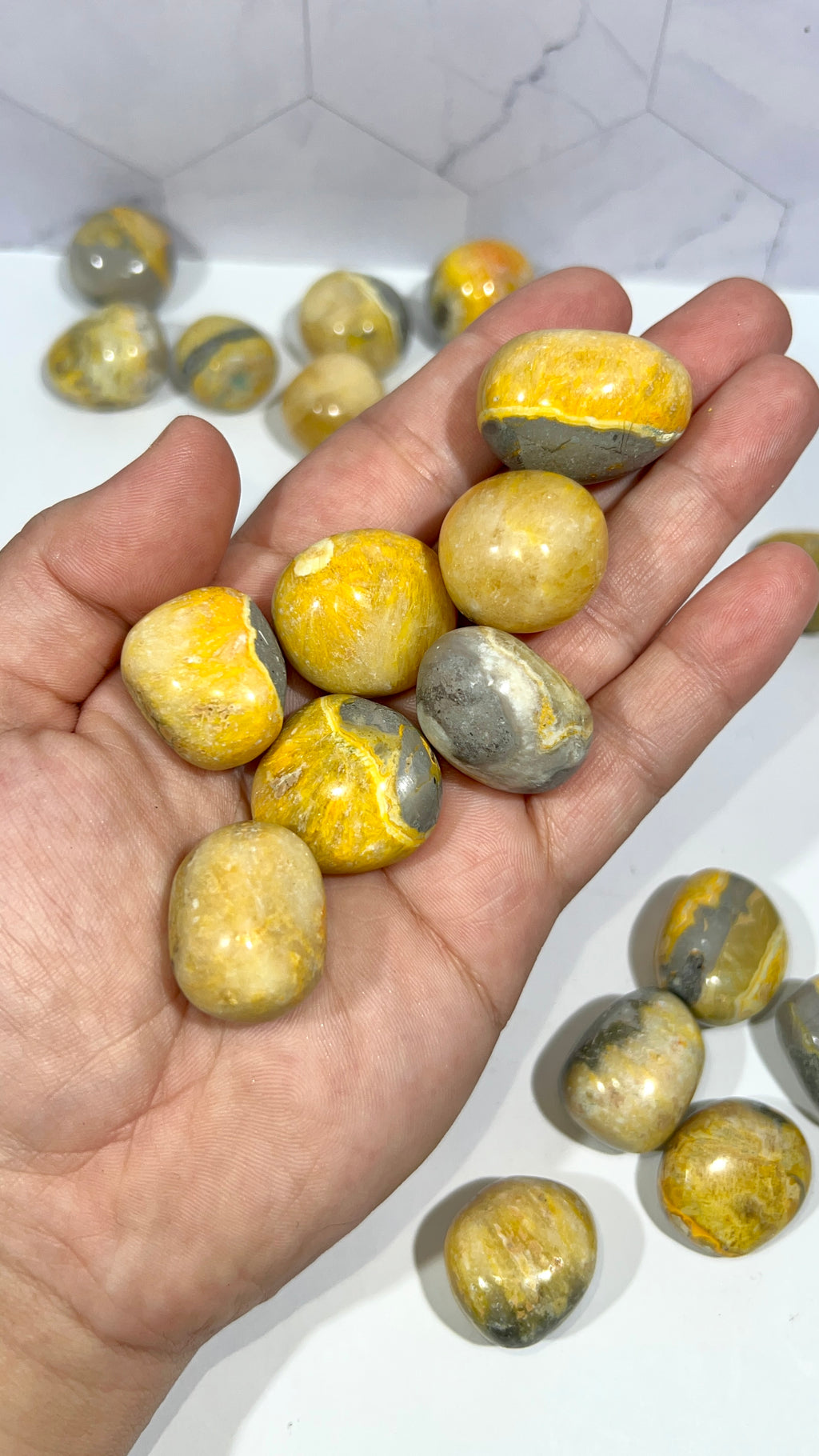 Bumblebee Jasper Tumble