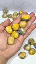 Bumblebee Jasper Tumble