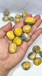 Bumblebee Jasper Tumble