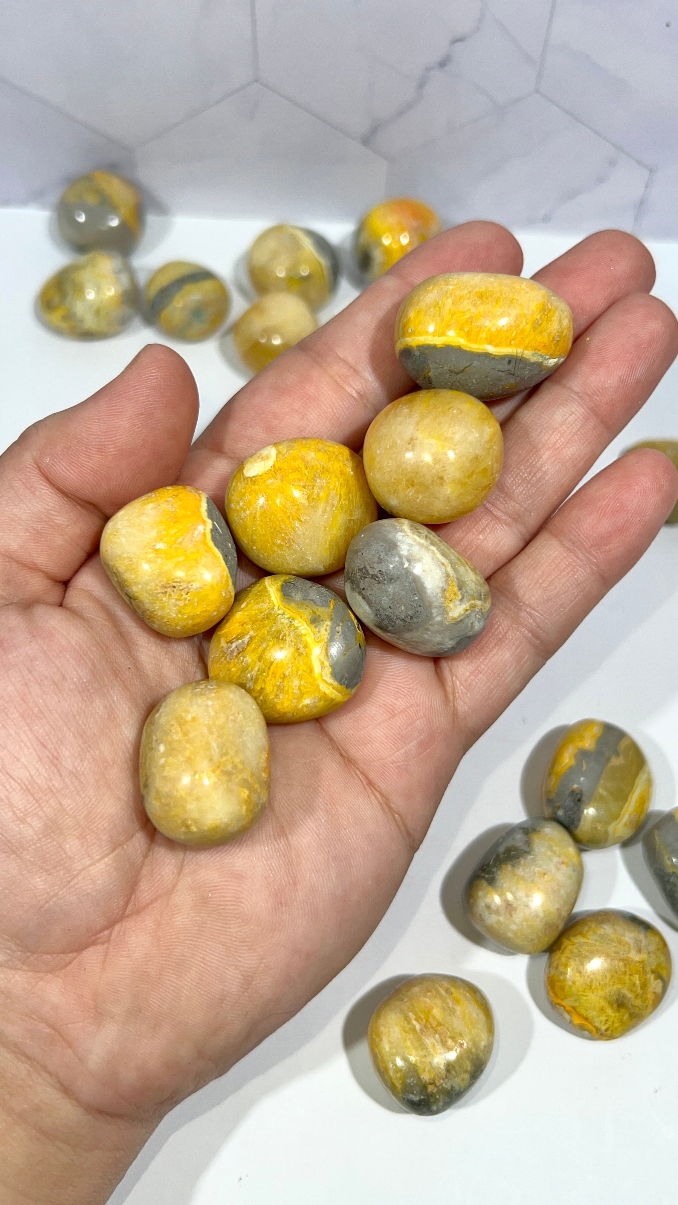 Bumblebee Jasper Tumble