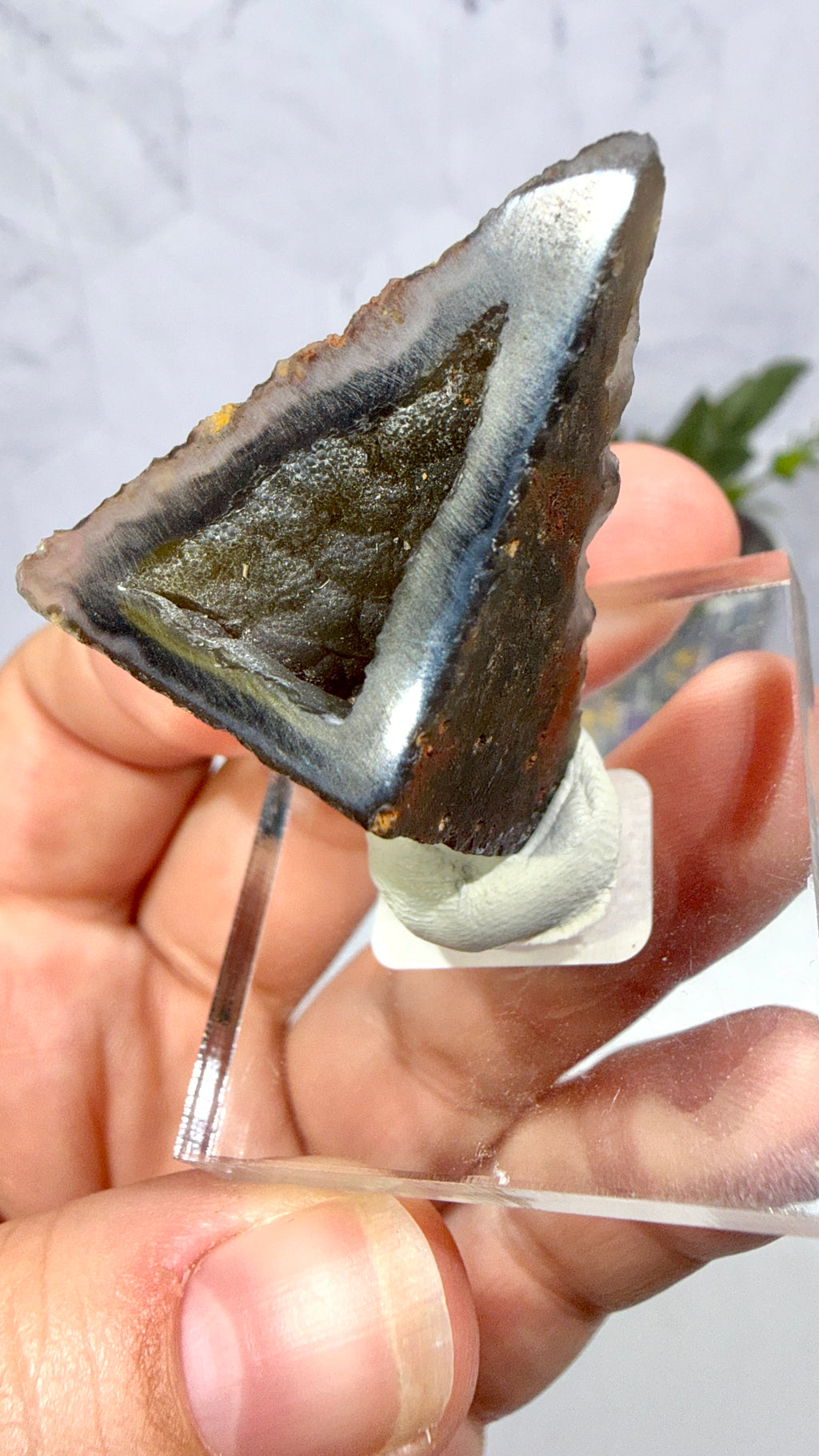 Polygonal Agate