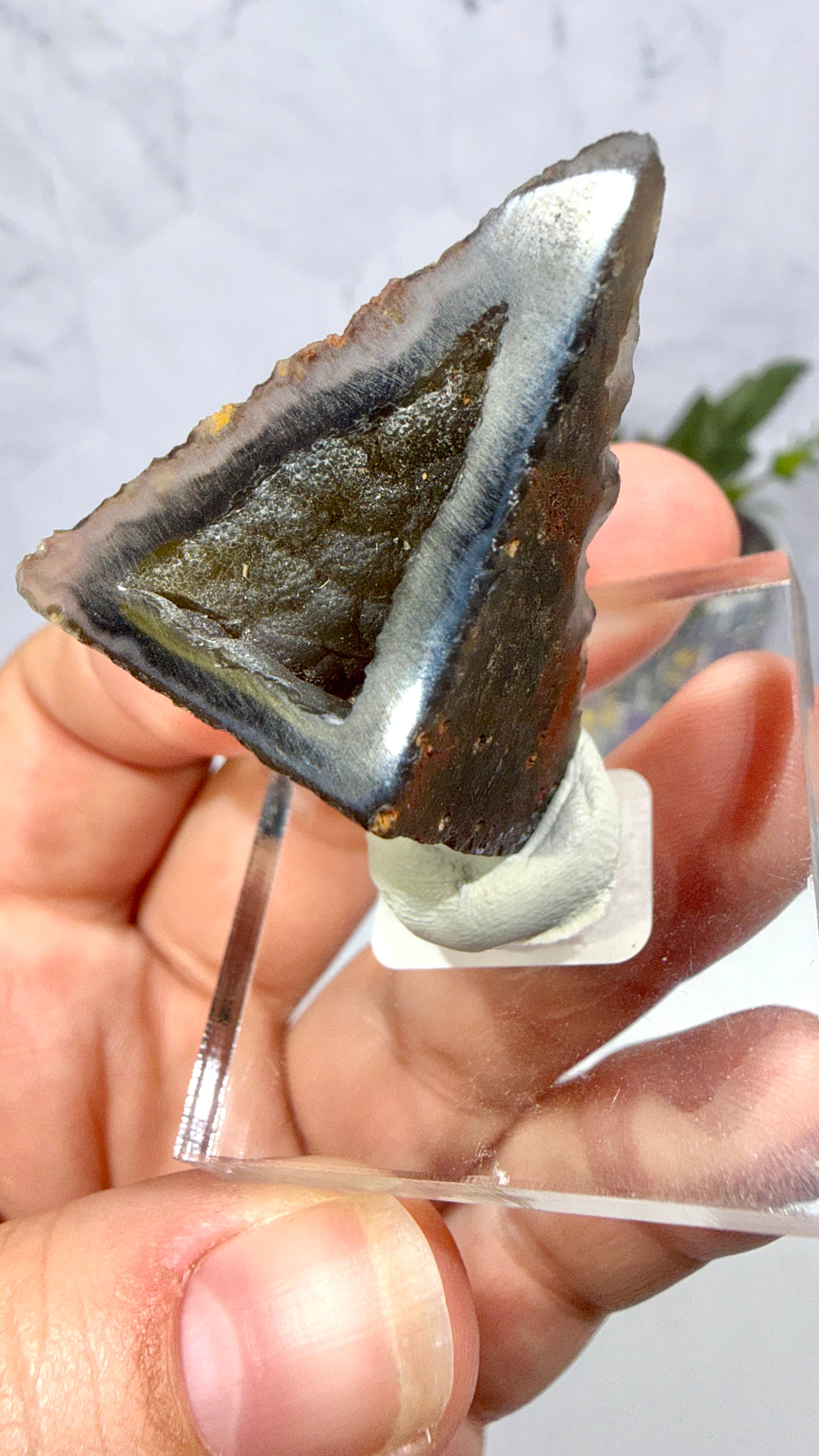Polygonal Agate