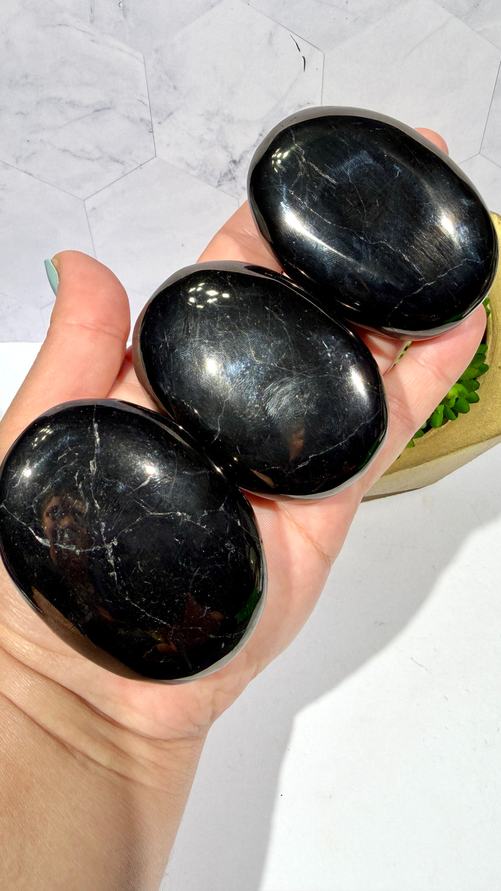 Jet Palm Stone