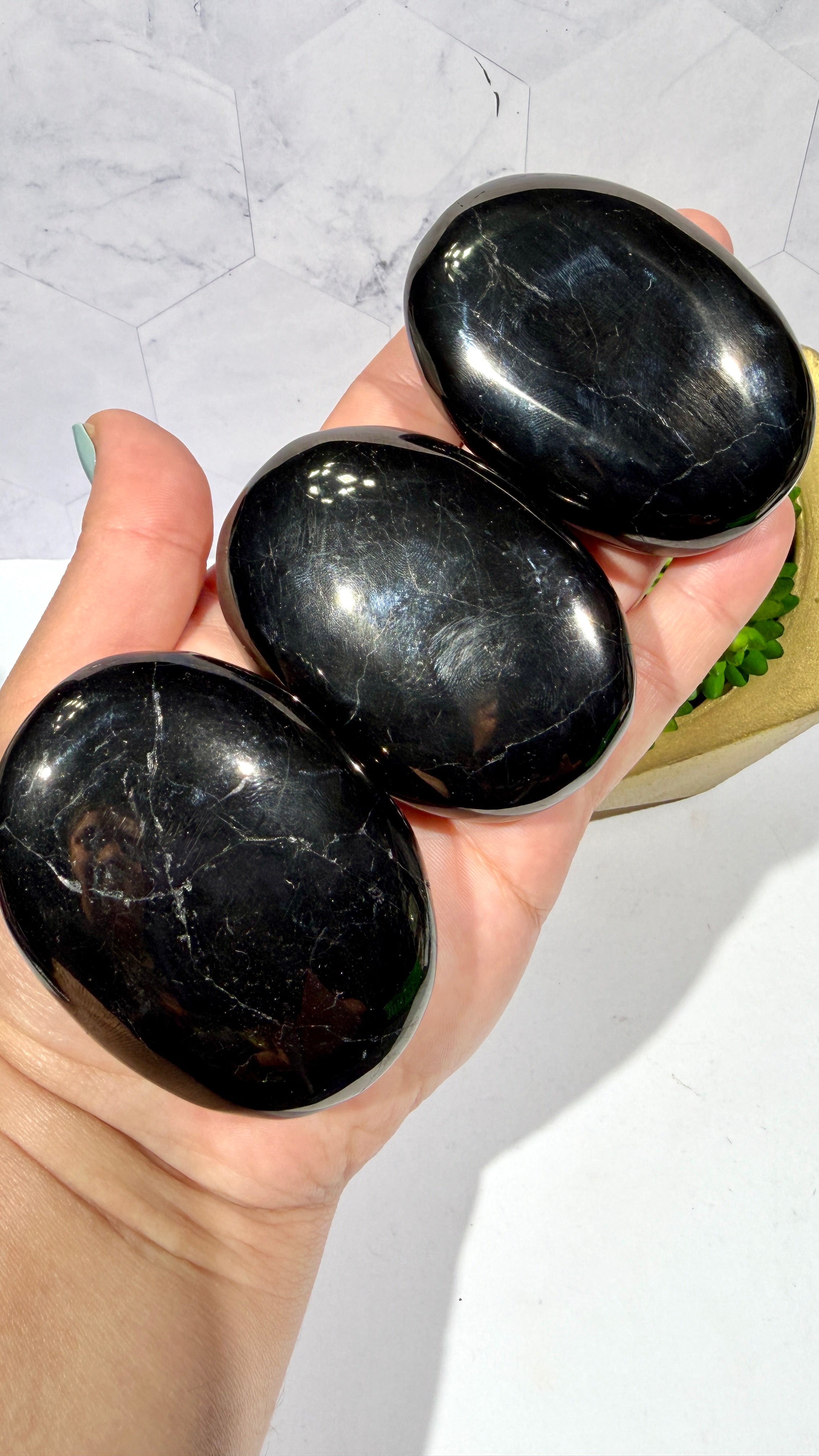 Jet Palm Stone