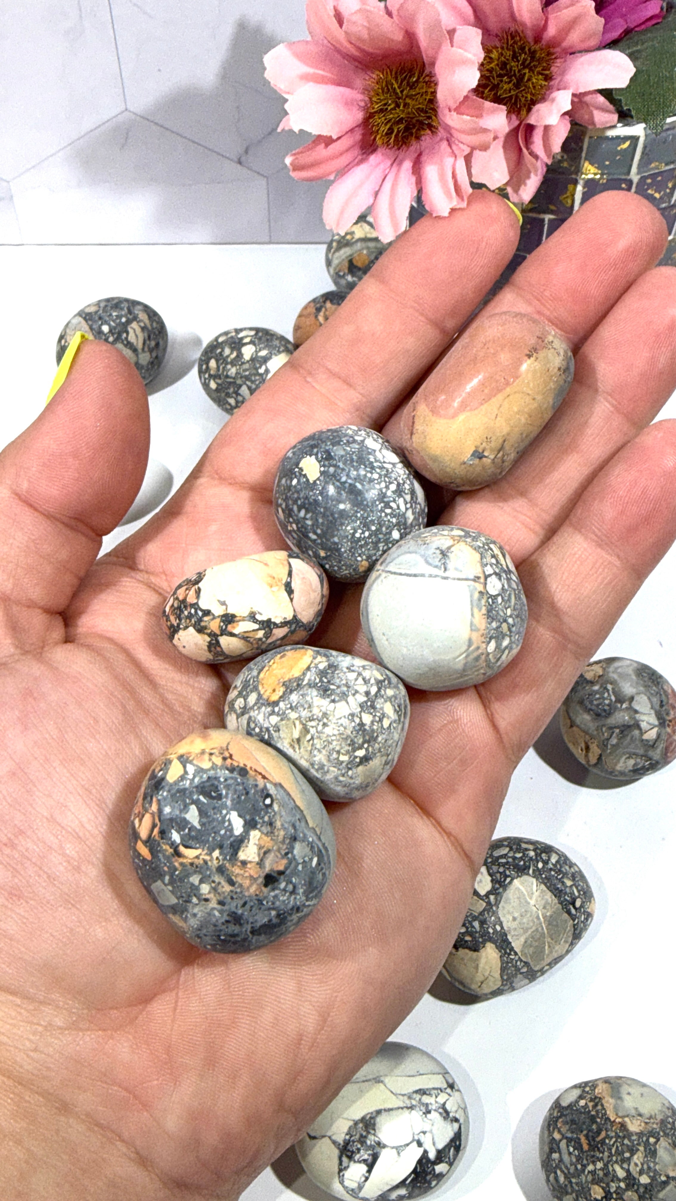 Maligano Jasper Tumble
