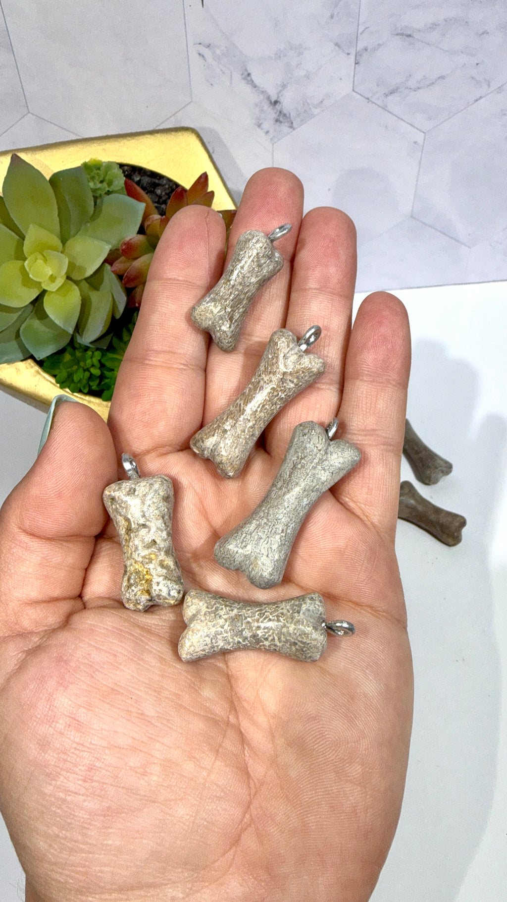 Genuine Dinosaur Bone Pendant "Atlasaurus imelakai"