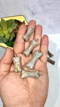 Genuine Dinosaur Bone Pendant "Atlasaurus imelakai"