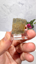 Polygonal Agate