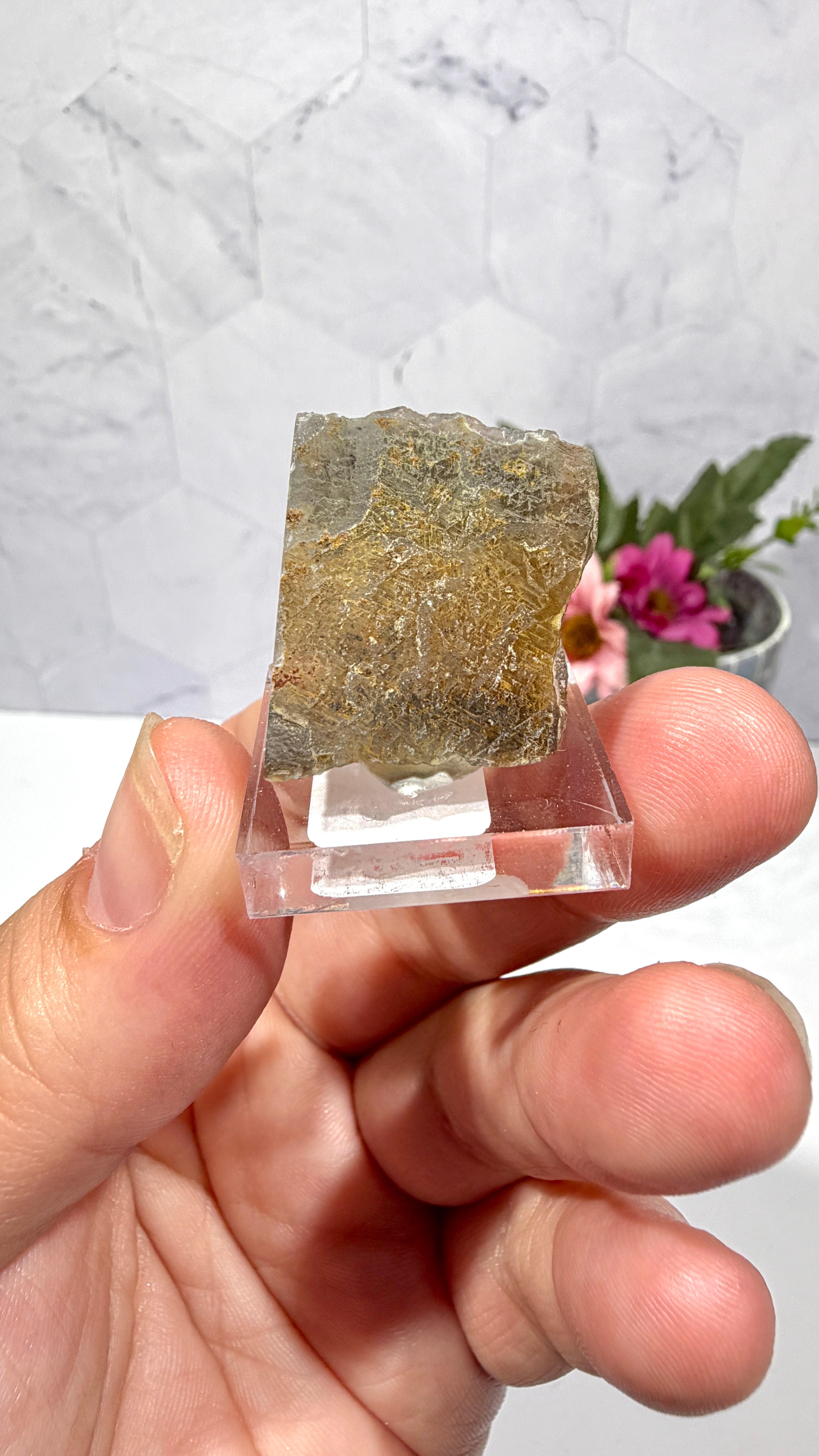 Polygonal Agate