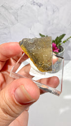 Polygonal Agate