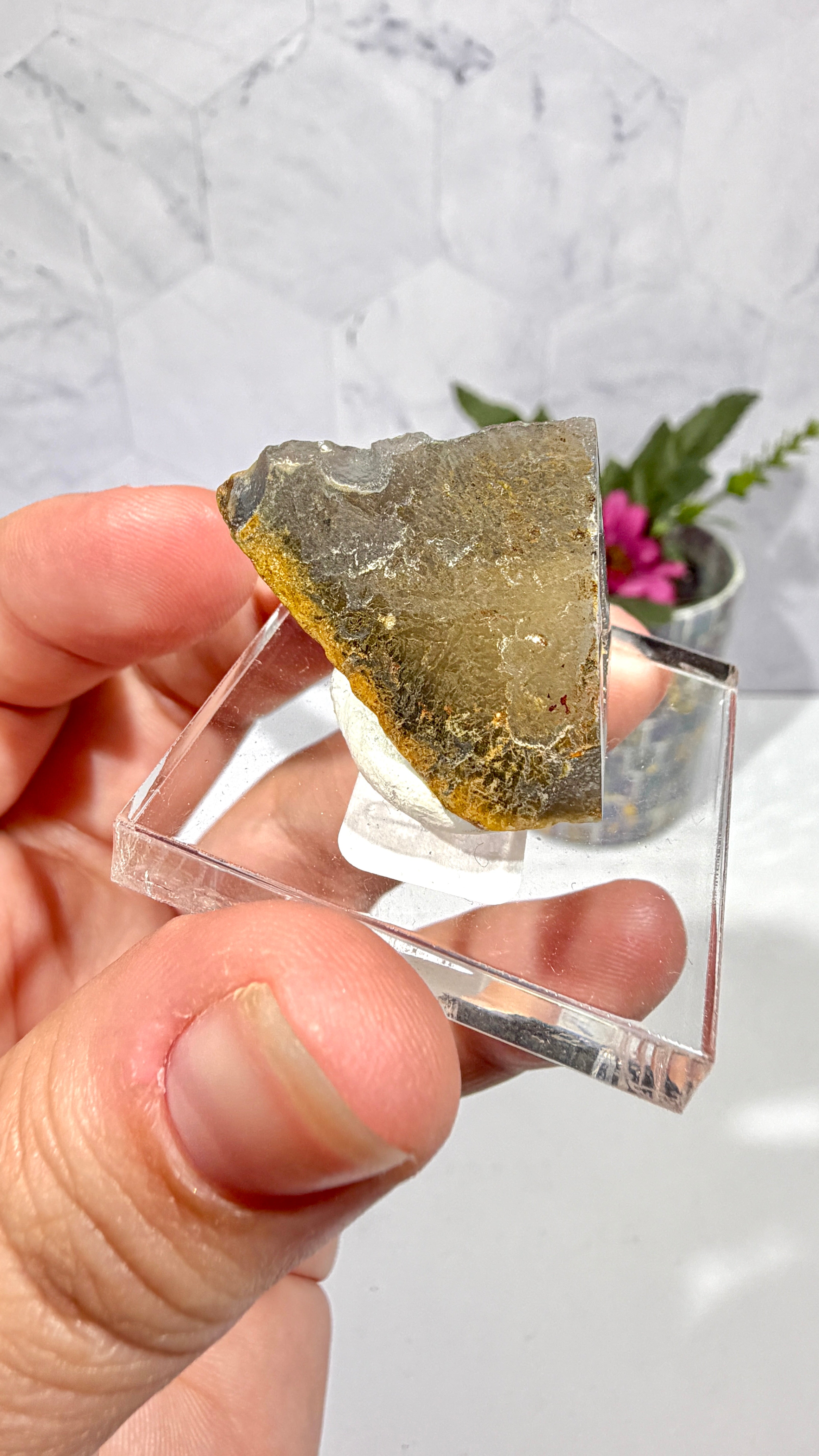 Polygonal Agate