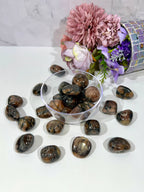Chiastolite Tumble