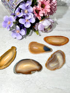 Agate Slice