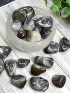 Botswana Agate Tumble