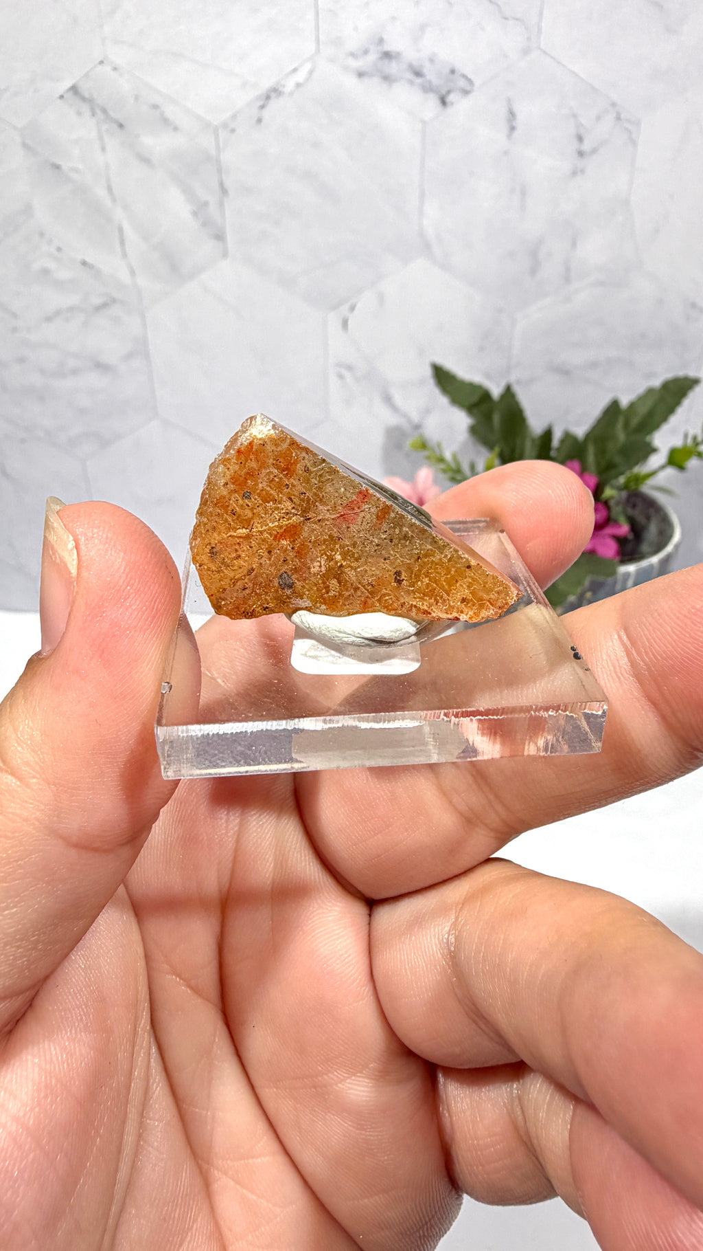 Polygonal Agate