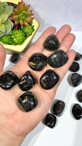 Genuine Nuummite Tumble
