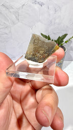 Polygonal Agate