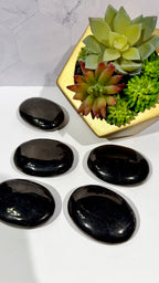 Jet Palm Stone