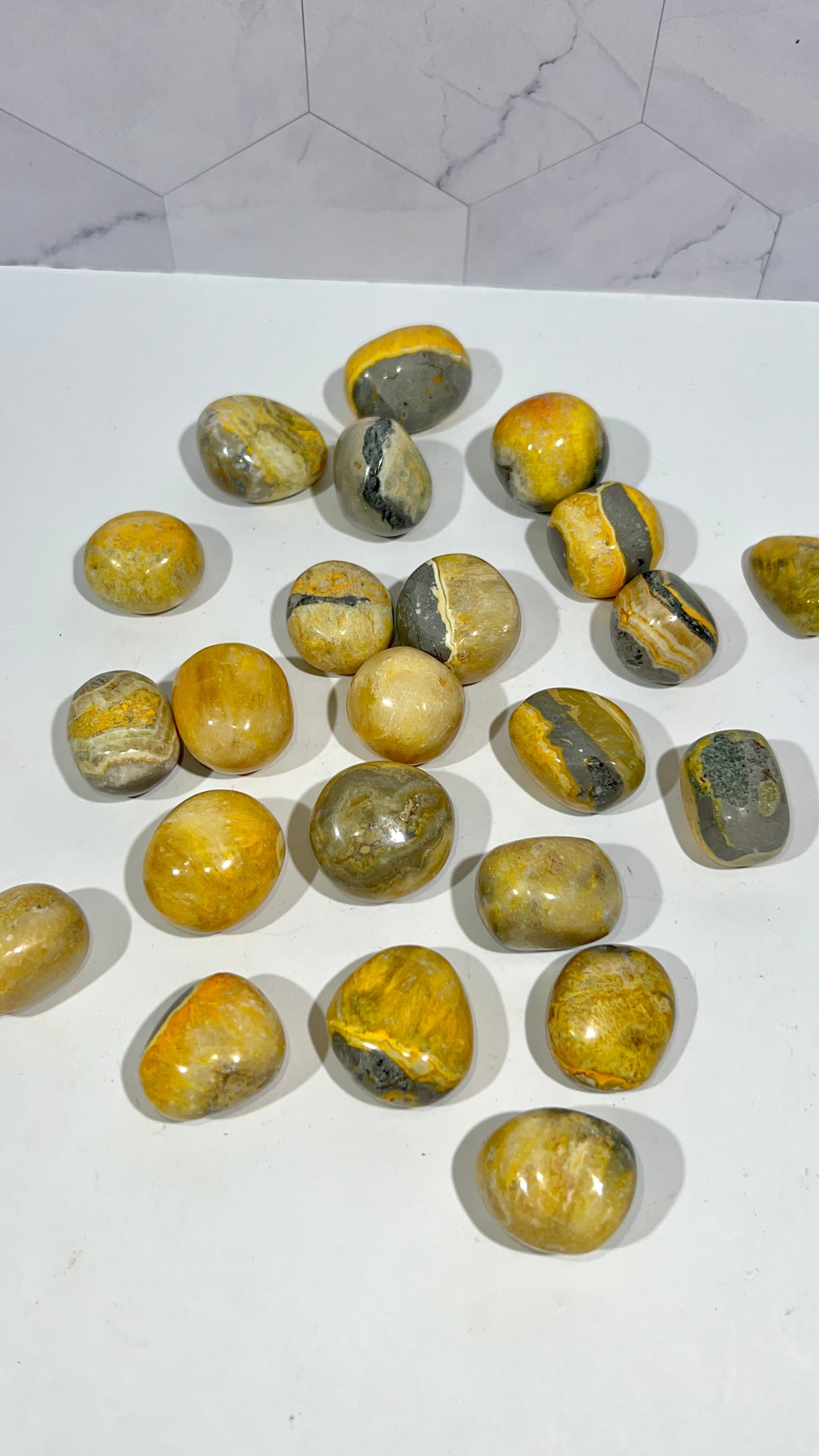 Bumblebee Jasper Tumble