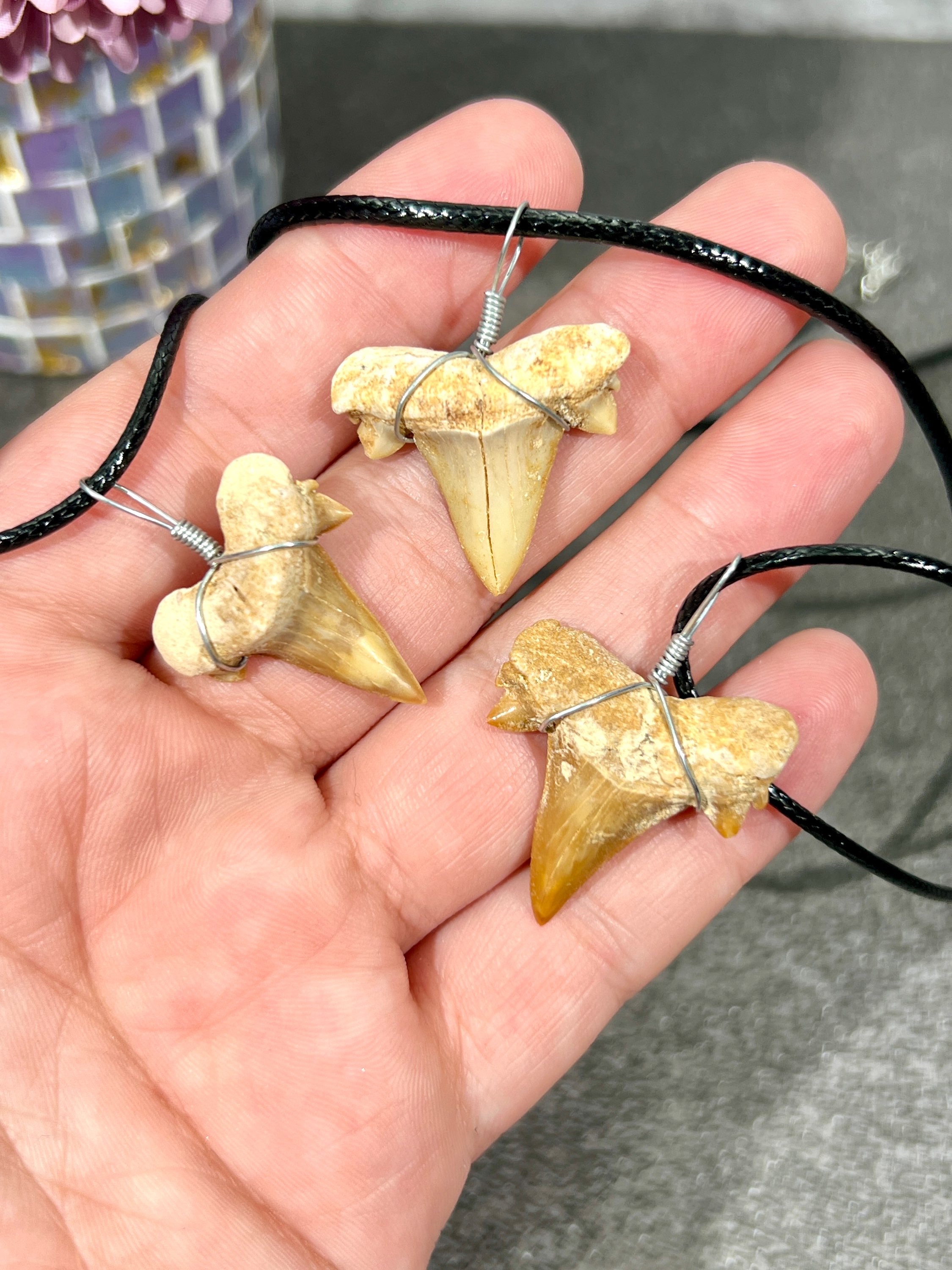 Sharks Tooth Fossil Necklace