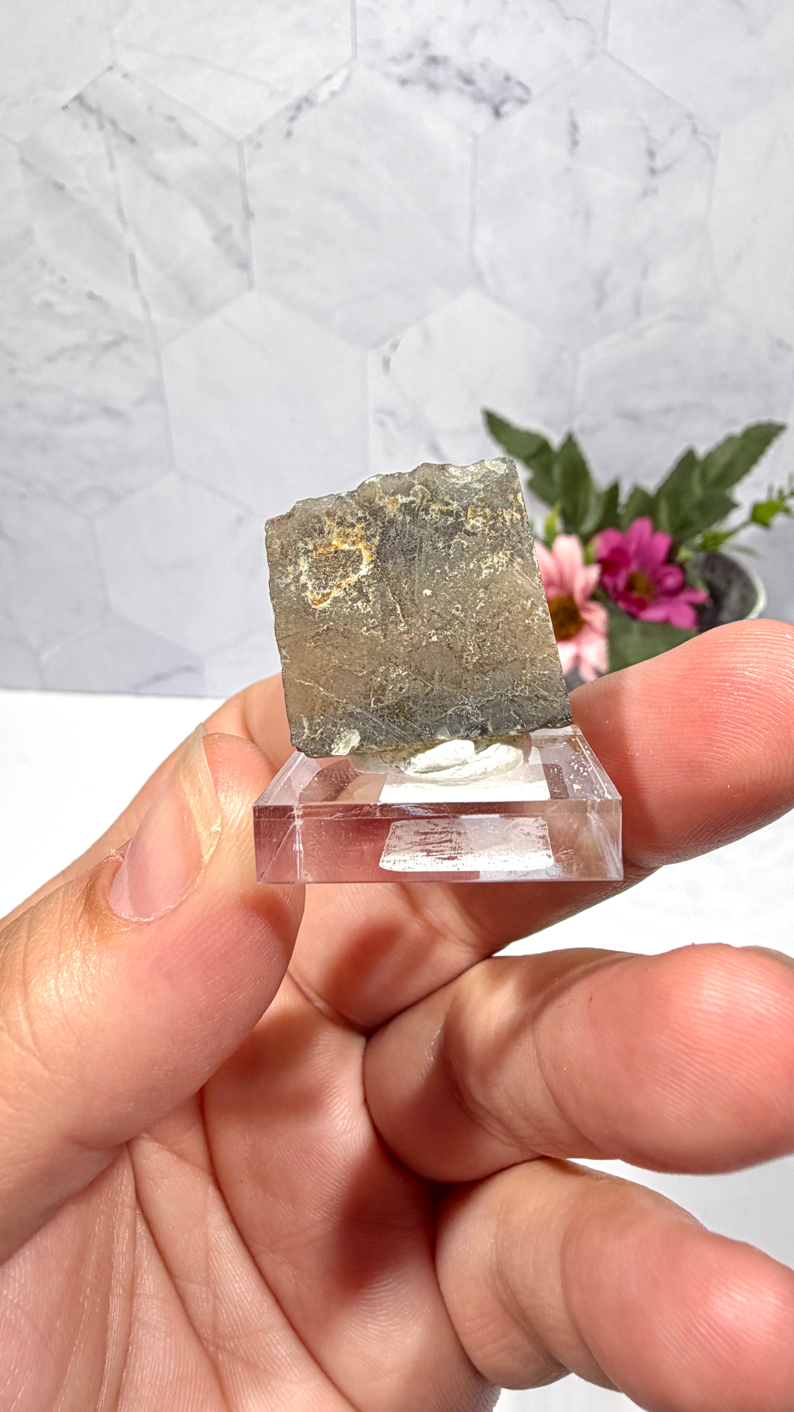 Polygonal Agate
