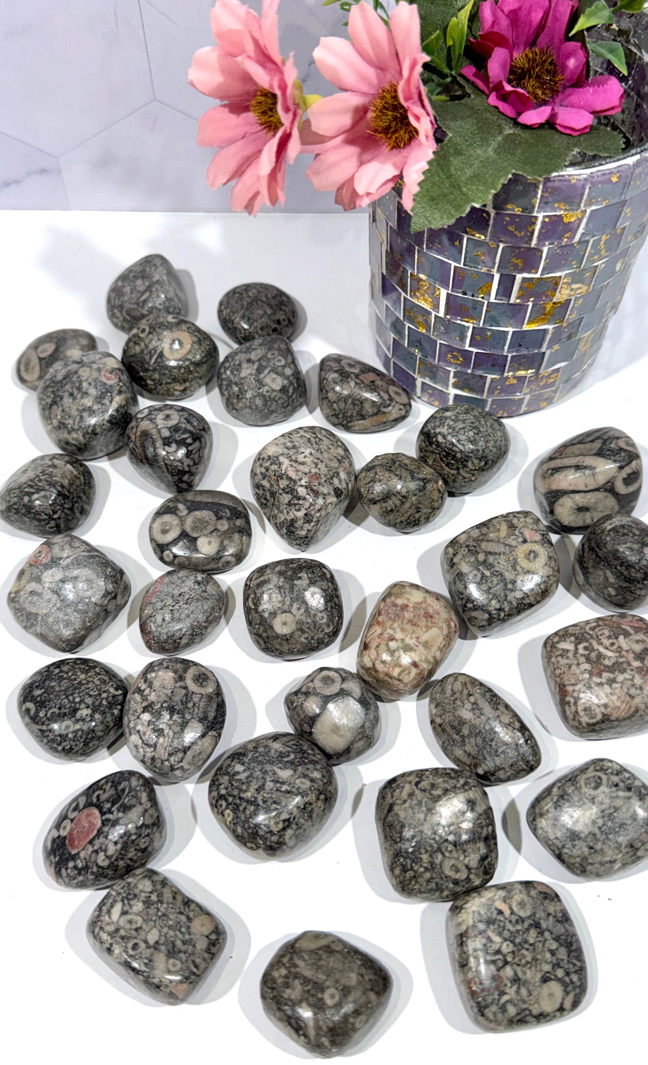 Crinoid Fossil Stone Tumble