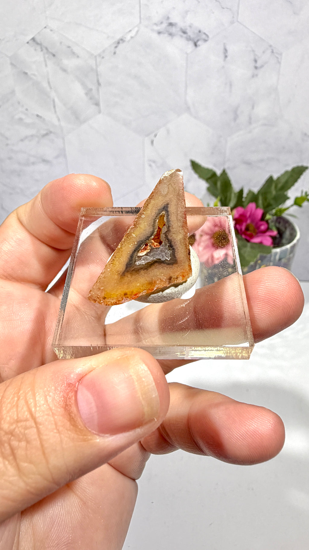 Polygonal Agate