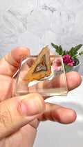 Polygonal Agate
