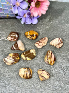 Zebra Jasper Tumble