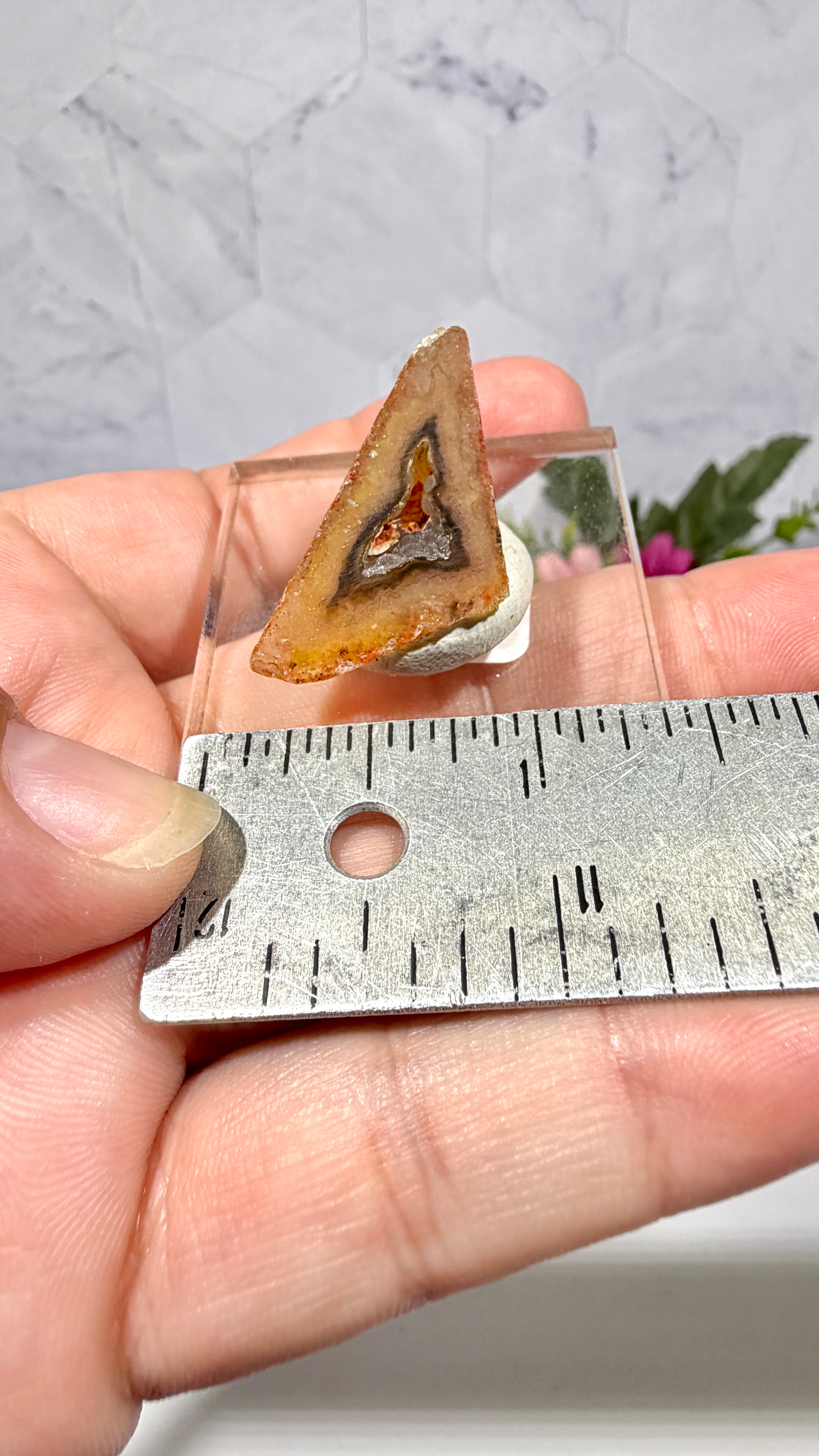 Polygonal Agate