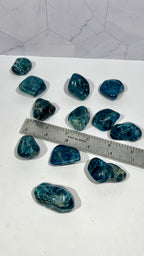 Blue Apatite Tumble