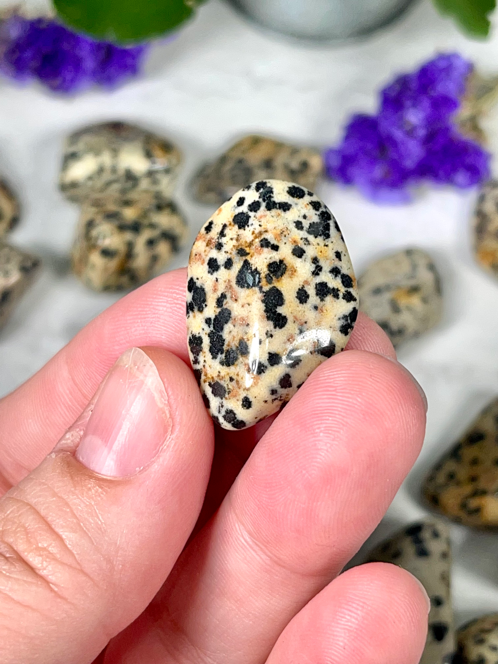 Dalmatian Jasper Tumble | Stone for Dog Lovers | Spotted Jasper Crystal