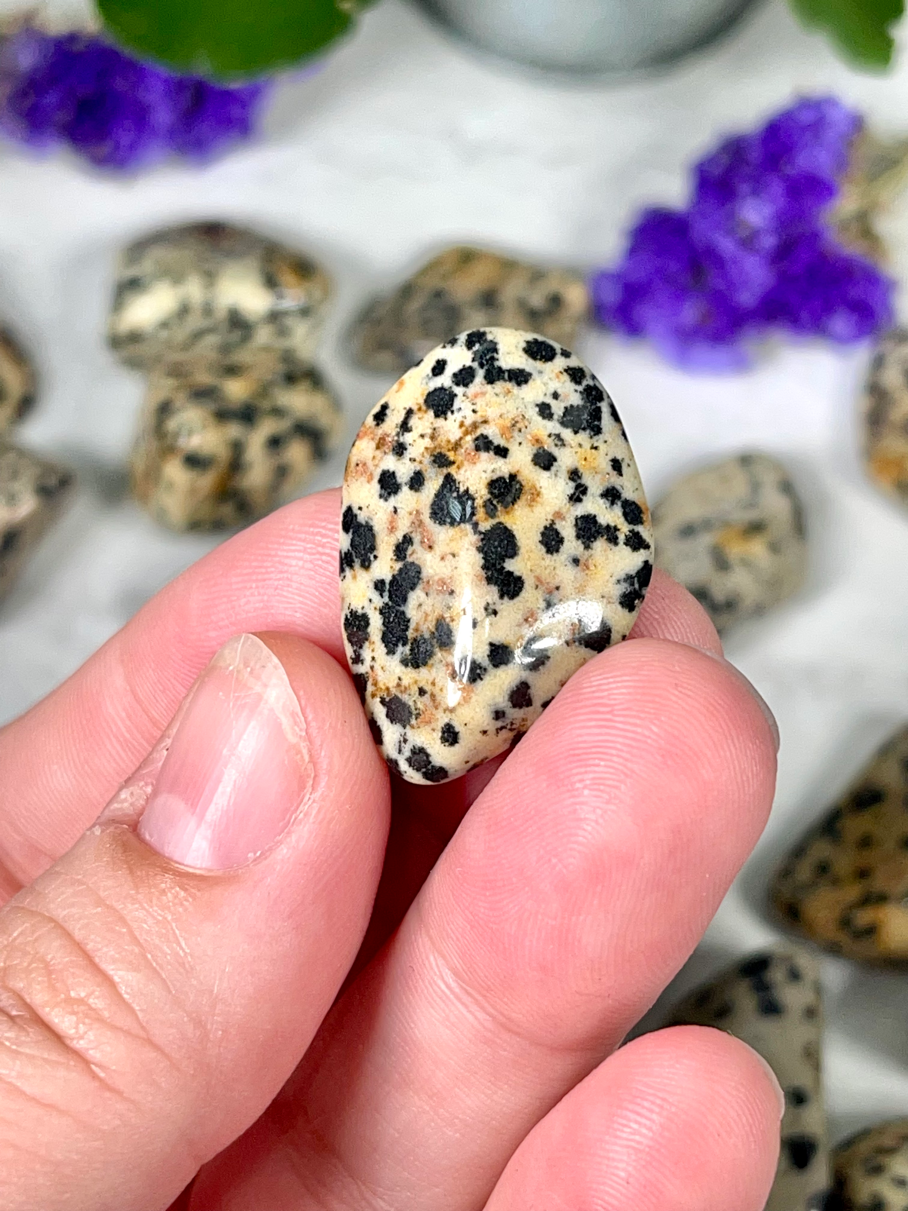 Dalmatian Jasper Tumble | Stone for Dog Lovers | Spotted Jasper Crystal