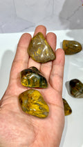 Nellite Tumble