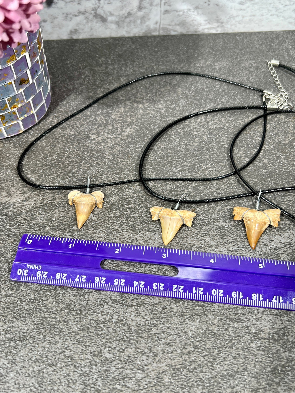 Sharks Tooth Fossil Necklace