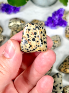 Dalmatian Jasper Tumble | Stone for Dog Lovers | Spotted Jasper Crystal