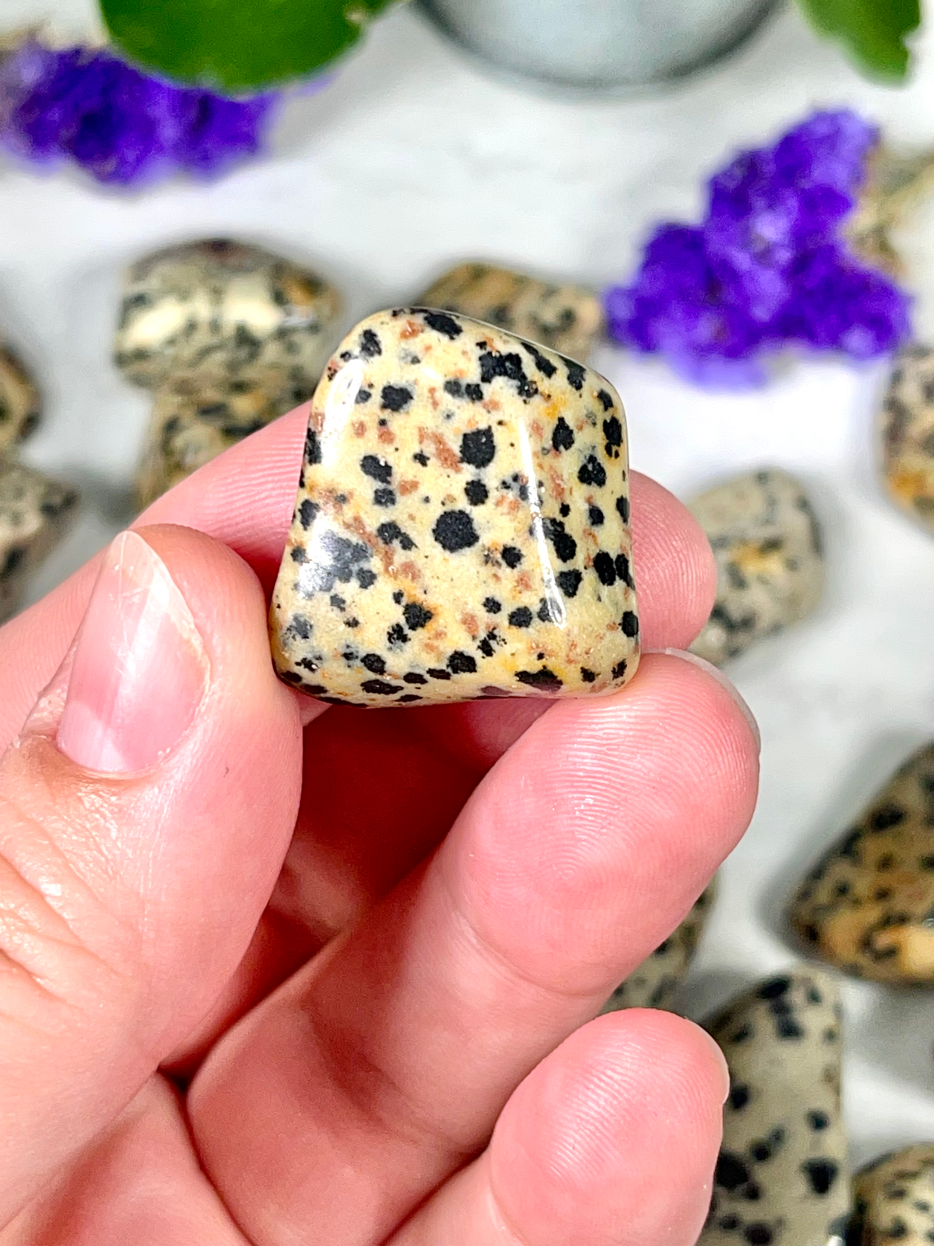 Dalmatian Jasper Tumble | Stone for Dog Lovers | Spotted Jasper Crystal