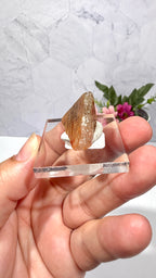 Polygonal Agate