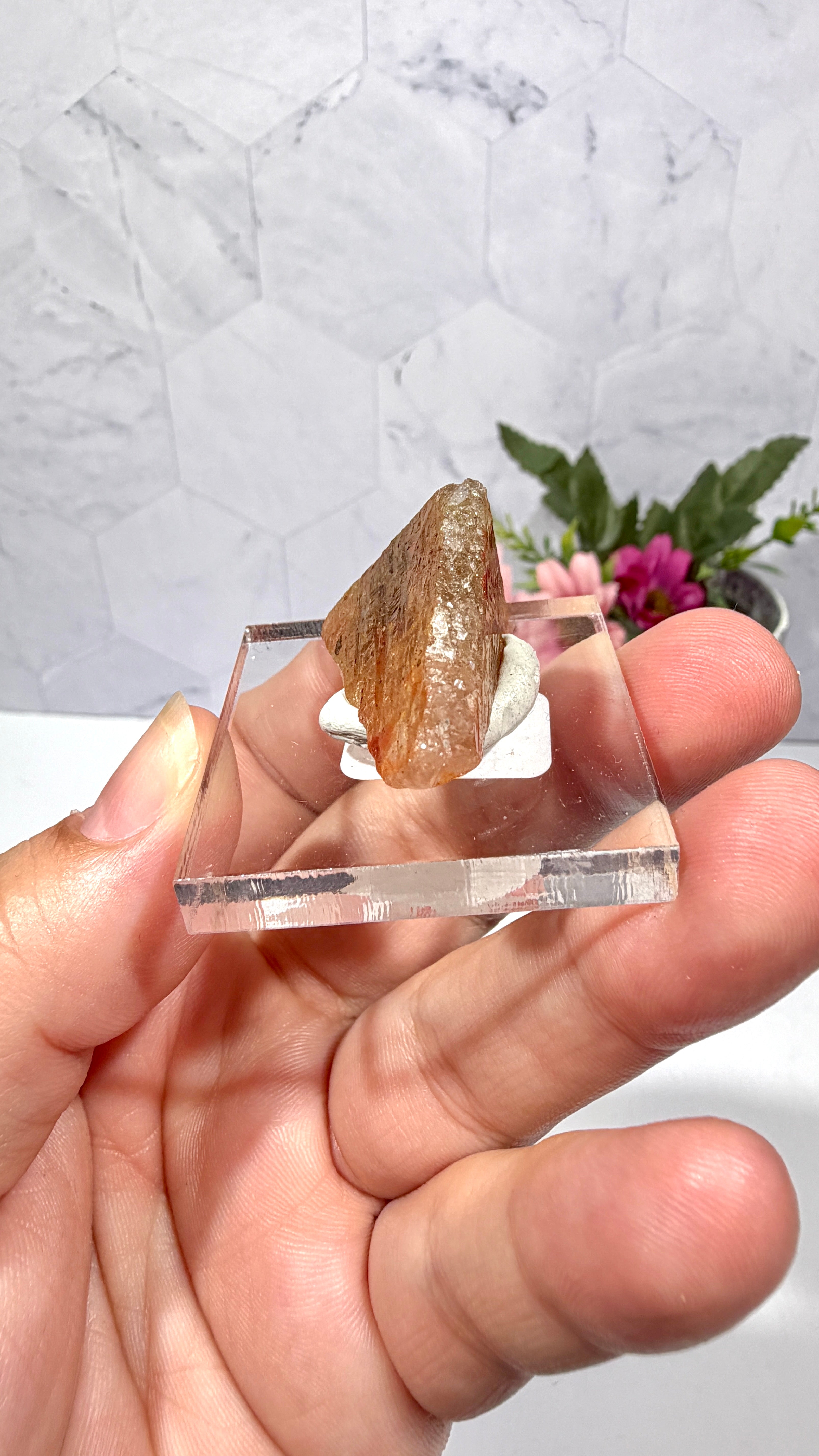 Polygonal Agate