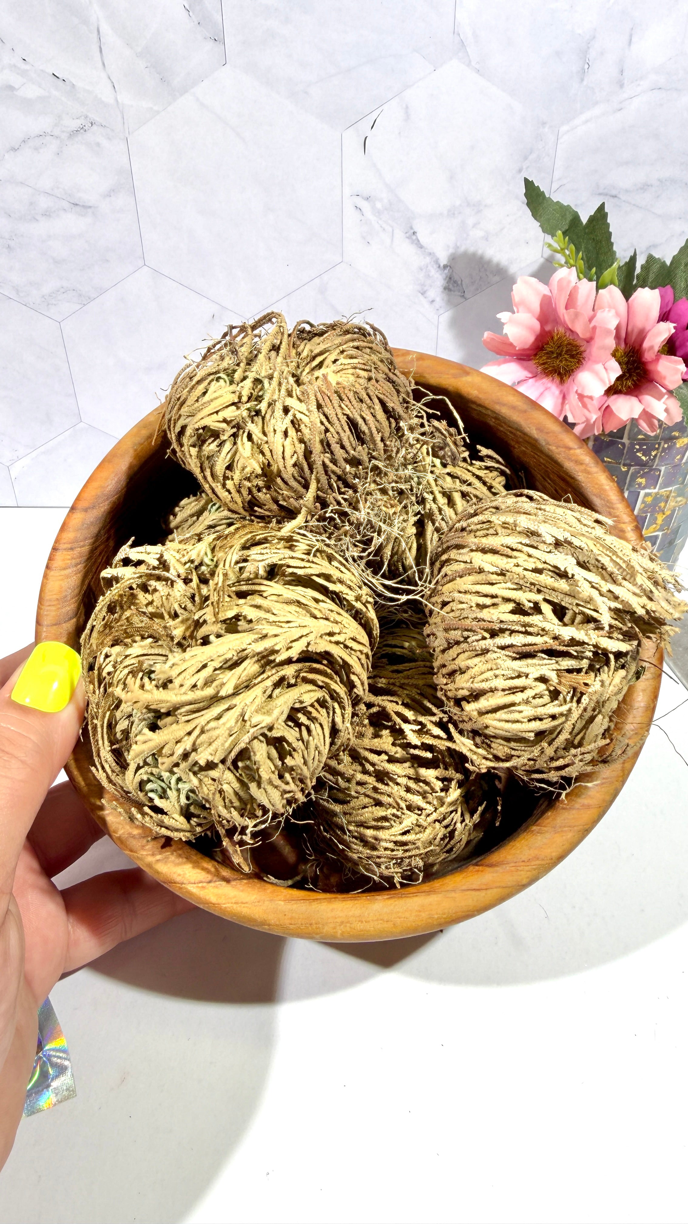 Rose of Jericho